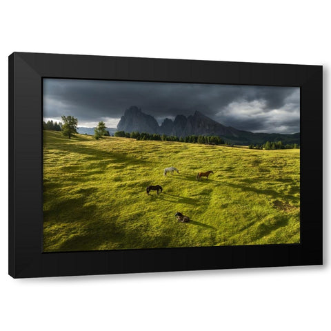 Horses in the Dolomites Black Modern Wood Framed Art Print with Double Matting by Krivec, Ales