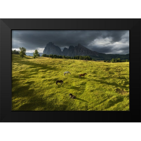 Horses in the Dolomites Black Modern Wood Framed Art Print by Krivec, Ales