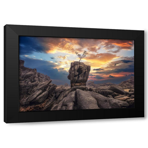 Pine Tree On The Rock Black Modern Wood Framed Art Print by Seo, Tiger