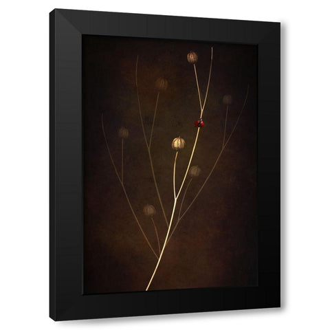 Summer Black Modern Wood Framed Art Print with Double Matting by Kiral, Cicek