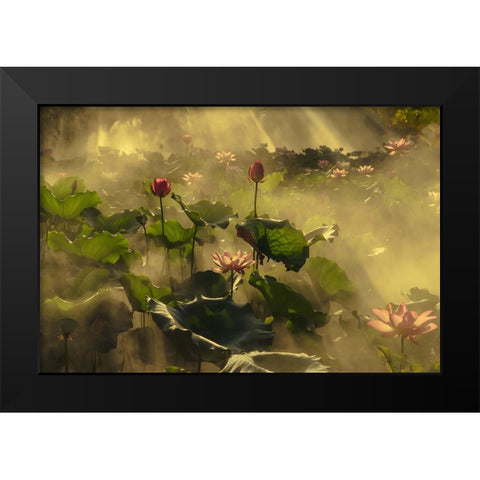 Summer lotus Black Modern Wood Framed Art Print by Shi, Mei