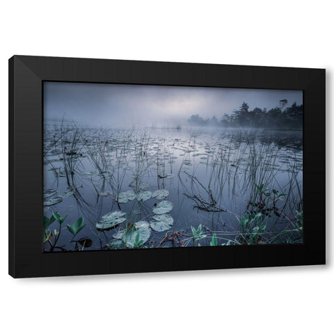 Dawn Light Black Modern Wood Framed Art Print by Pettersson, Benny