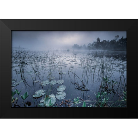 Dawn Light Black Modern Wood Framed Art Print by Pettersson, Benny
