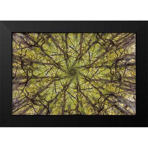 neural connection Black Modern Wood Framed Art Print by Badiola, Aitor