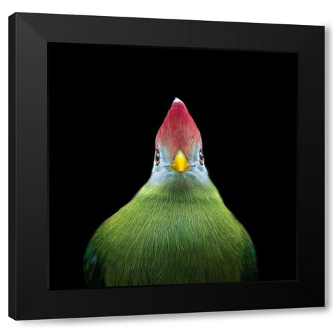 Untitled Black Modern Wood Framed Art Print by Pandya, Hardik