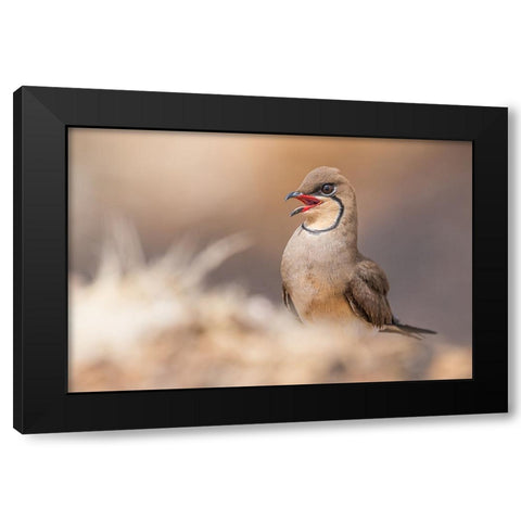 Red Lips.! Black Modern Wood Framed Art Print by Elkahlawi, Ahmed