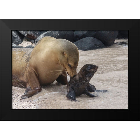 Mother Worries Black Modern Wood Framed Art Print by Gross, Benny