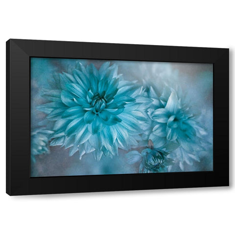 Twilight Black Modern Wood Framed Art Print by Parker, Jacky