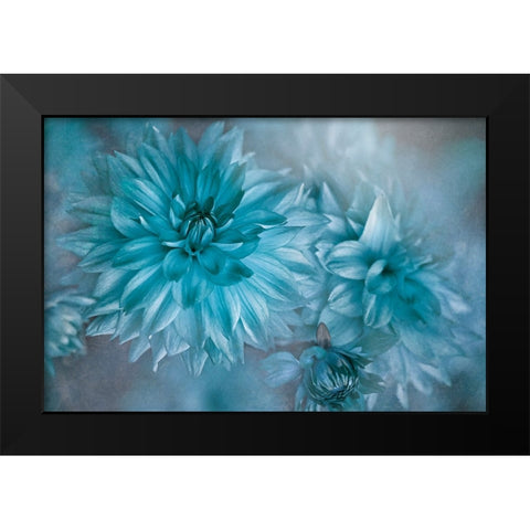 Twilight Black Modern Wood Framed Art Print by Parker, Jacky