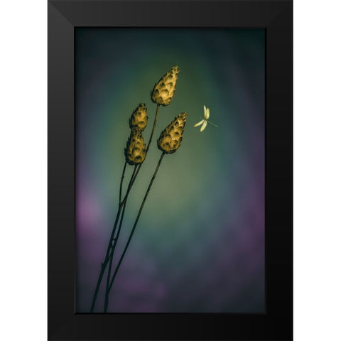 A Midsummer Fantasy Black Modern Wood Framed Art Print by Kiral, Cicek