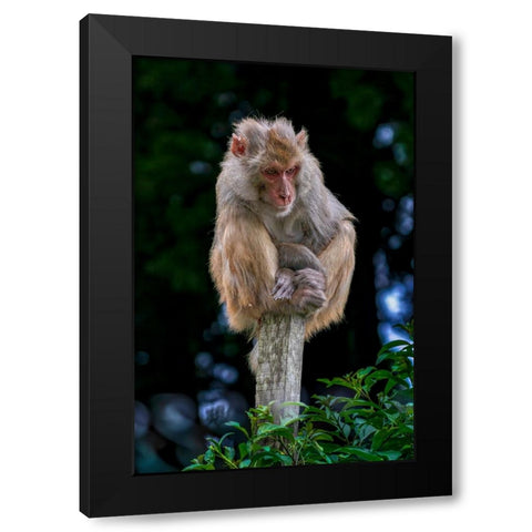 Lost In An Overcrowded World Black Modern Wood Framed Art Print with Double Matting by Sachdeva, Samir