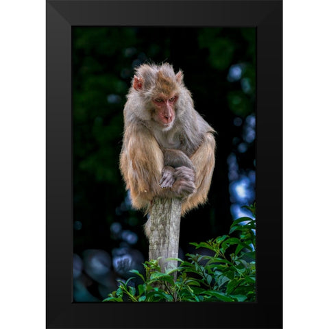 Lost In An Overcrowded World Black Modern Wood Framed Art Print by Sachdeva, Samir