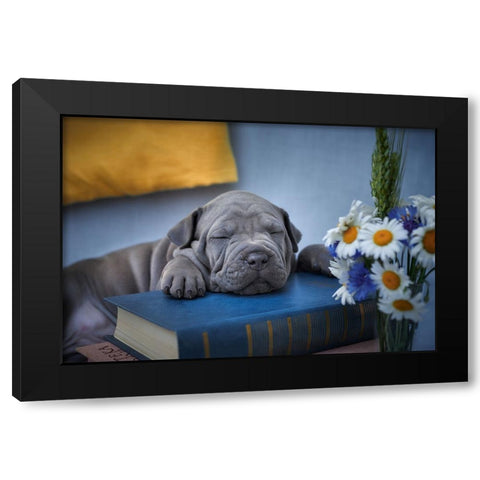 Sweet Dreams... Black Modern Wood Framed Art Print with Double Matting by Kazun, Andrii