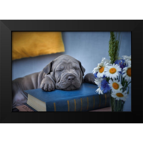 Sweet Dreams... Black Modern Wood Framed Art Print by Kazun, Andrii