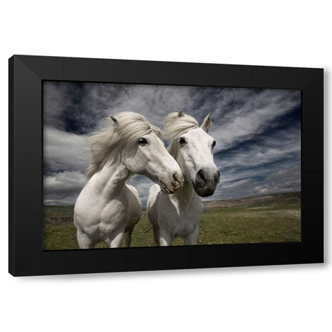 Inseparables Black Modern Wood Framed Art Print by Ingibergsson, Bragi