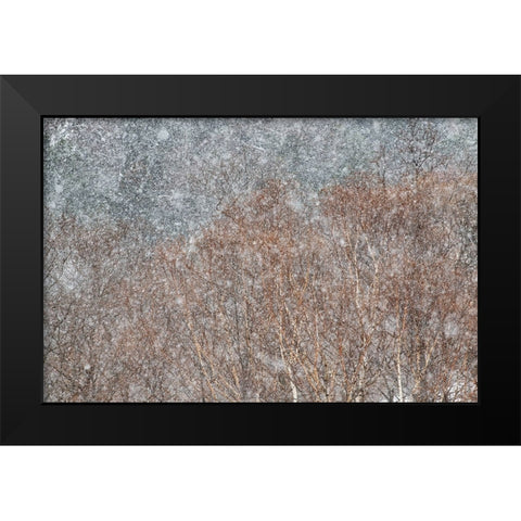 snowstorm Black Modern Wood Framed Art Print by Swapnil