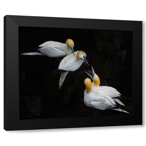 Hi Neighbor Black Modern Wood Framed Art Print with Double Matting by Fu, Molly