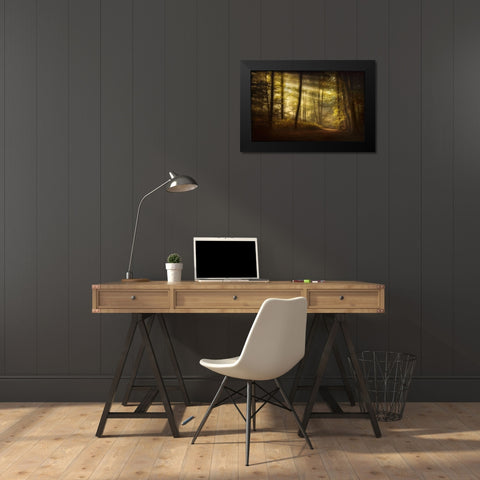 Autumnal Morning Black Modern Wood Framed Art Print by Maier, Norbert