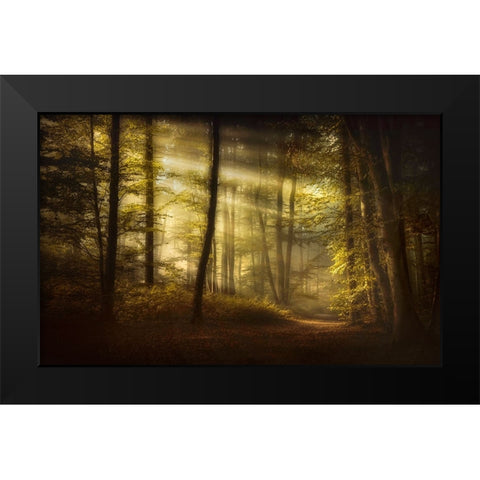 Autumnal Morning Black Modern Wood Framed Art Print by Maier, Norbert