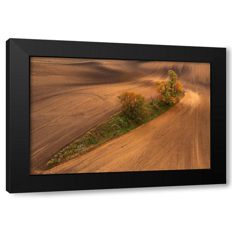 South Moravia Black Modern Wood Framed Art Print by Kravanja, Jure