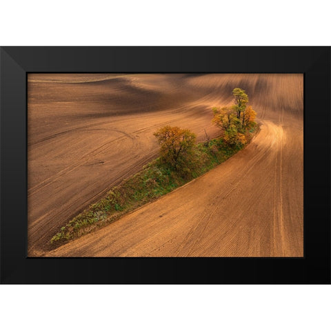South Moravia Black Modern Wood Framed Art Print by Kravanja, Jure