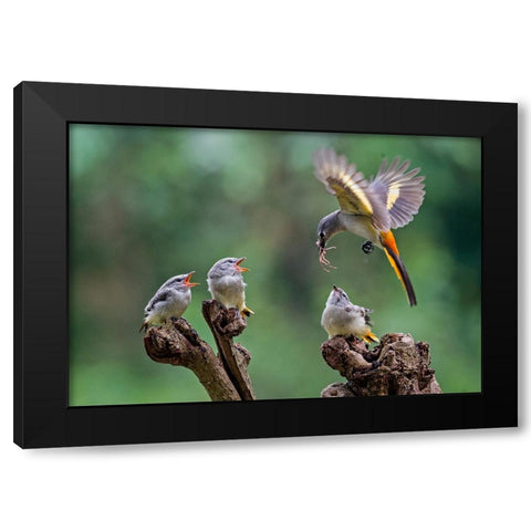 I Am Coming 2 Black Modern Wood Framed Art Print with Double Matting by Muliani Hartojo, Angela