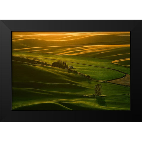 Palouse Wheat Fields Black Modern Wood Framed Art Print by Dickau, Kristel