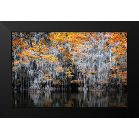 Gold Rush Black Modern Wood Framed Art Print by Ji, Shirley