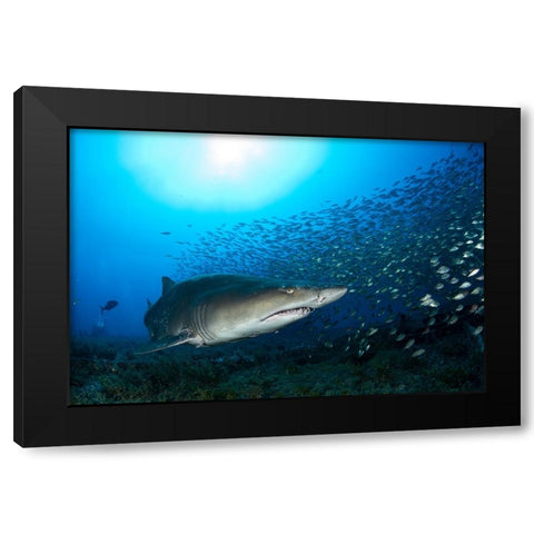 Big Head Black Modern Wood Framed Art Print by Y Lin, Ryan