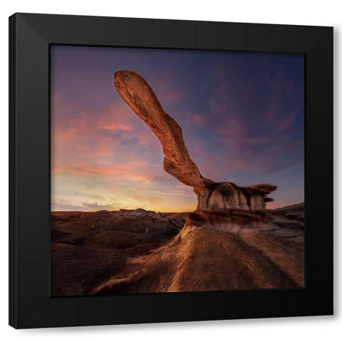 King Of Wings Black Modern Wood Framed Art Print with Double Matting by Ji, Shirley