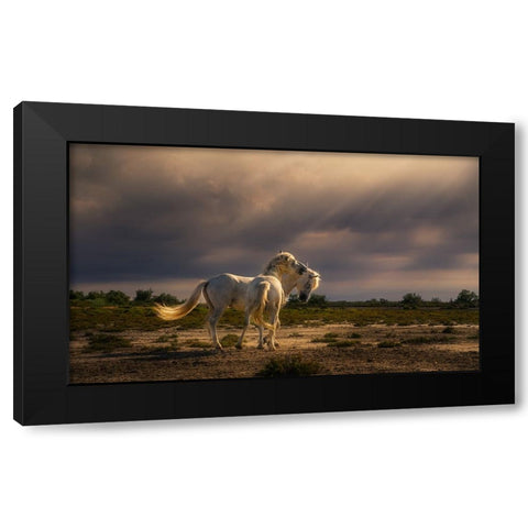 After The Storm...Light! A732210 Black Modern Wood Framed Art Print with Double Matting by Joanaduenas