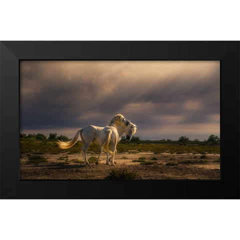 After The Storm...Light! A732210 Black Modern Wood Framed Art Print by Joanaduenas
