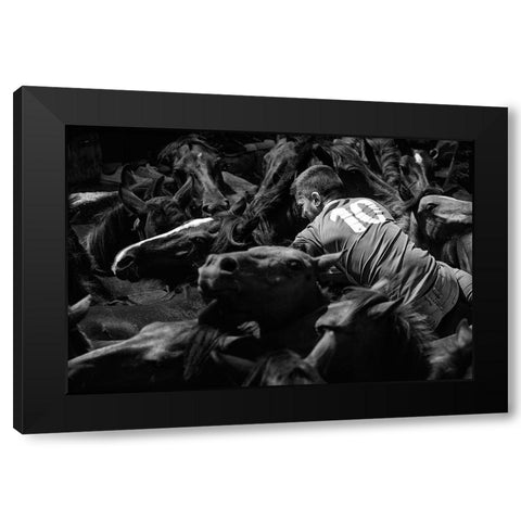 Mounted The Horse (A Rapa Das Bestas) Black Modern Wood Framed Art Print by Pascual Buye, Santiago