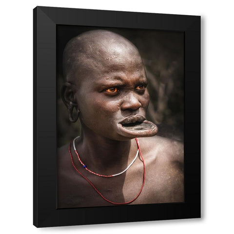 Labial Disc Family Black Modern Wood Framed Art Print with Double Matting by Tianhuayu