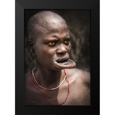 Labial Disc Family Black Modern Wood Framed Art Print by Tianhuayu