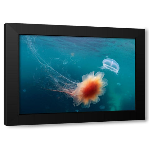 Underwater Space Black Modern Wood Framed Art Print by Narchuk, Andrey