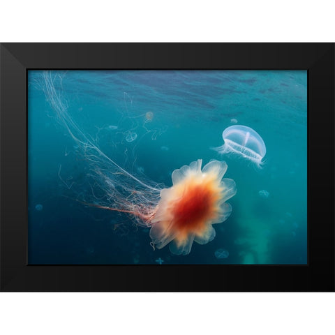 Underwater Space Black Modern Wood Framed Art Print by Narchuk, Andrey