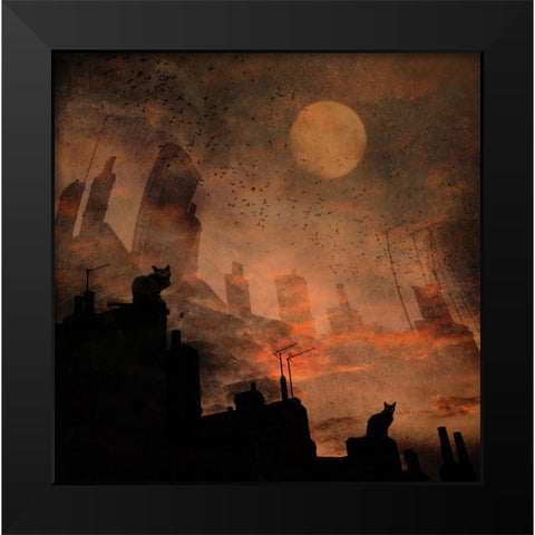 Day X... Cats... Black Modern Wood Framed Art Print by Fabrowski, Robert