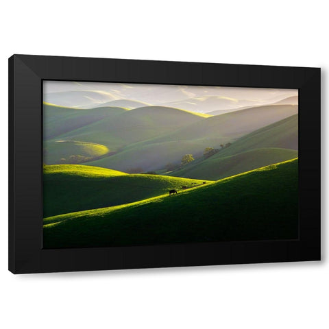 Afternoon Light On Hills Black Modern Wood Framed Art Print by Mao, Dianne