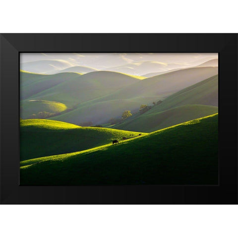 Afternoon Light On Hills Black Modern Wood Framed Art Print by Mao, Dianne