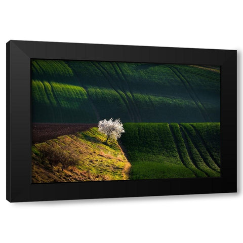 A Flowering Tree In The Waves Black Modern Wood Framed Art Print with Double Matting by Uhrin, Milan