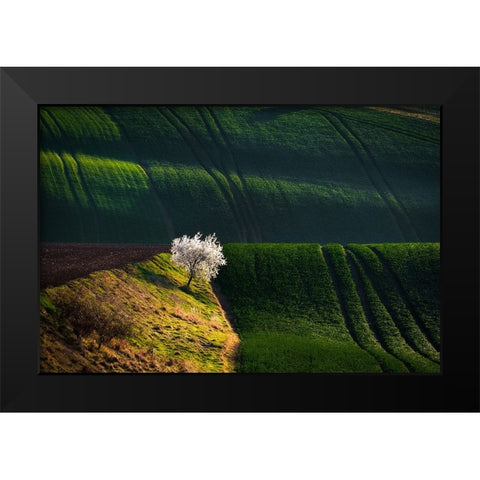 A Flowering Tree In The Waves Black Modern Wood Framed Art Print by Uhrin, Milan