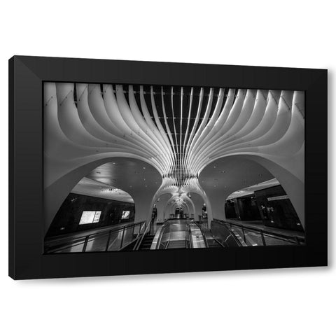The Curves And Lighting Black Modern Wood Framed Art Print with Double Matting by Ren Rong, Raymond