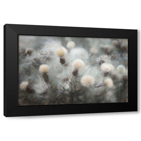 Free Fall Black Modern Wood Framed Art Print by Claes, Gilbert