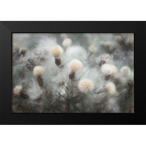 Free Fall Black Modern Wood Framed Art Print by Claes, Gilbert