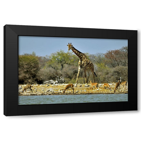 Different Sizes Black Modern Wood Framed Art Print by Damico, Giuseppe