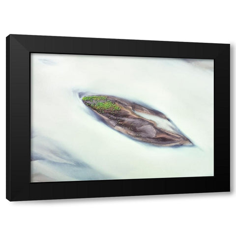 Lupine Islet Black Modern Wood Framed Art Print by Dou, Shenshen
