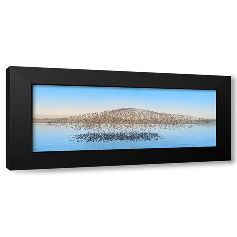 Untitled Black Modern Wood Framed Art Print with Double Matting by Fengying Long