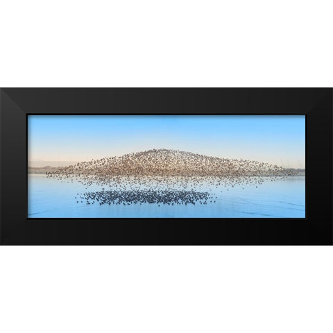 Untitled Black Modern Wood Framed Art Print by Fengying Long