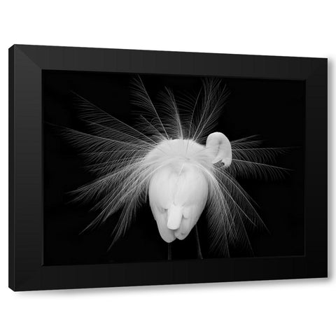 Untitled Black Modern Wood Framed Art Print by Fengying Long